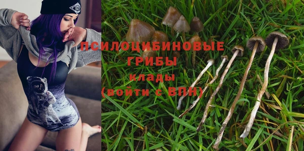 a pvp Абинск