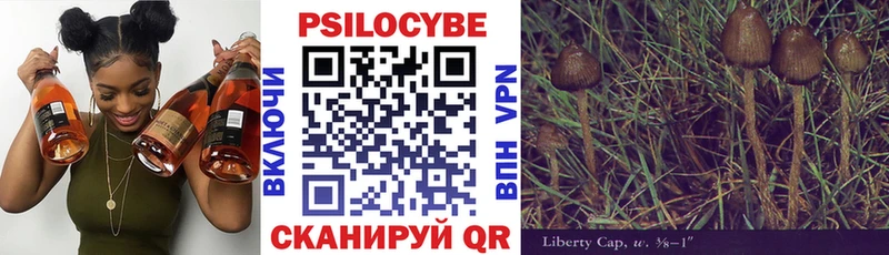 Псилоцибиновые грибы Psilocybe  hydra зеркало  Богородск  магазин продажи  